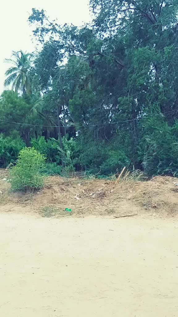 @மனிதன்
