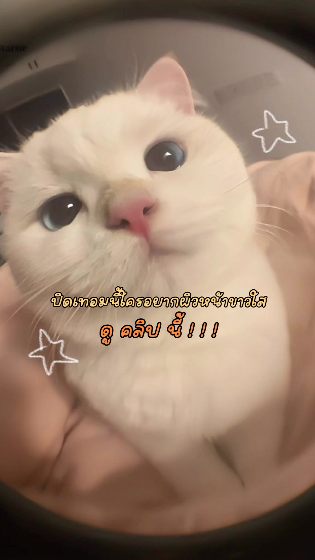 @🫐