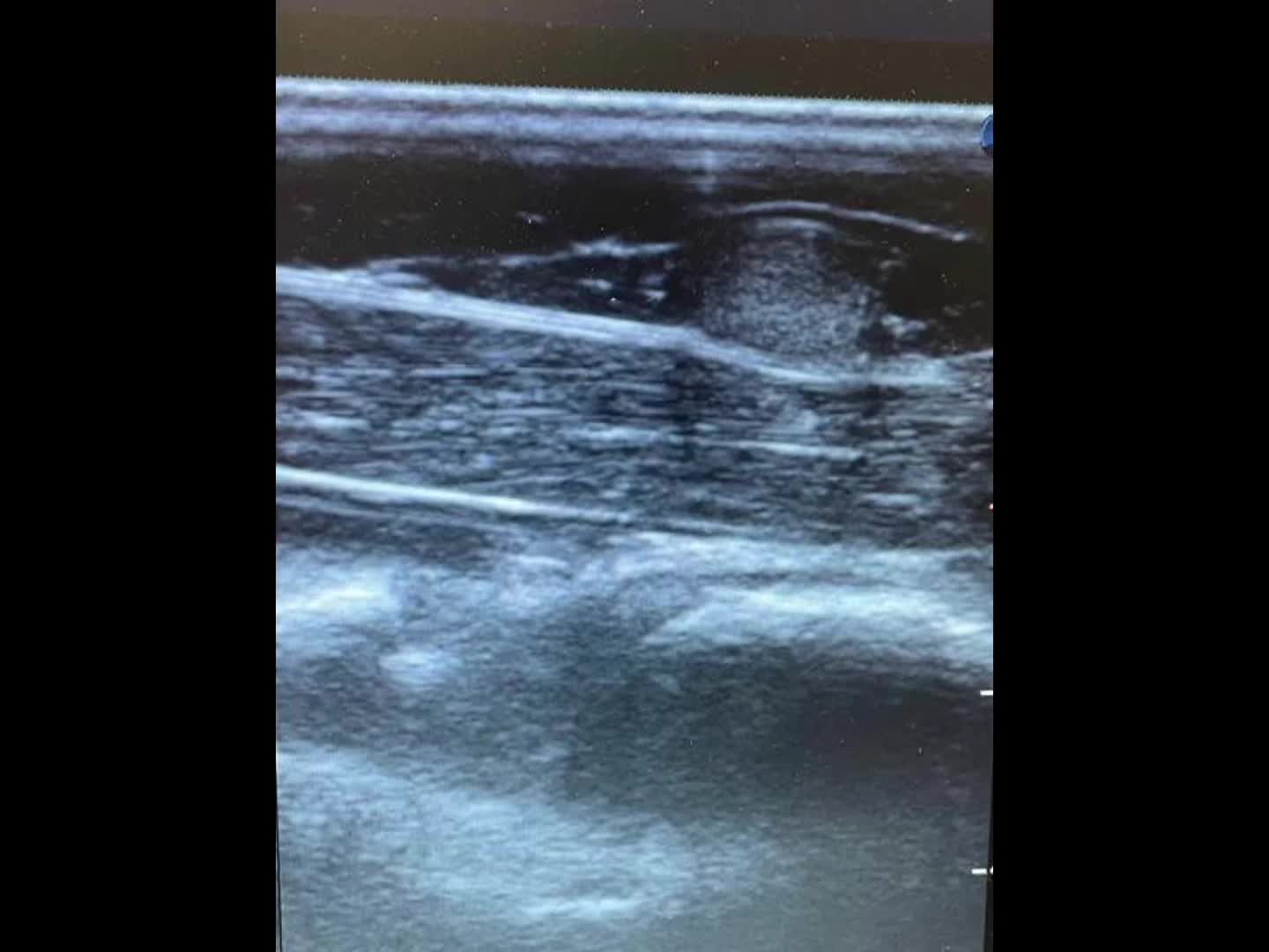 @EquineSurgeryOntario