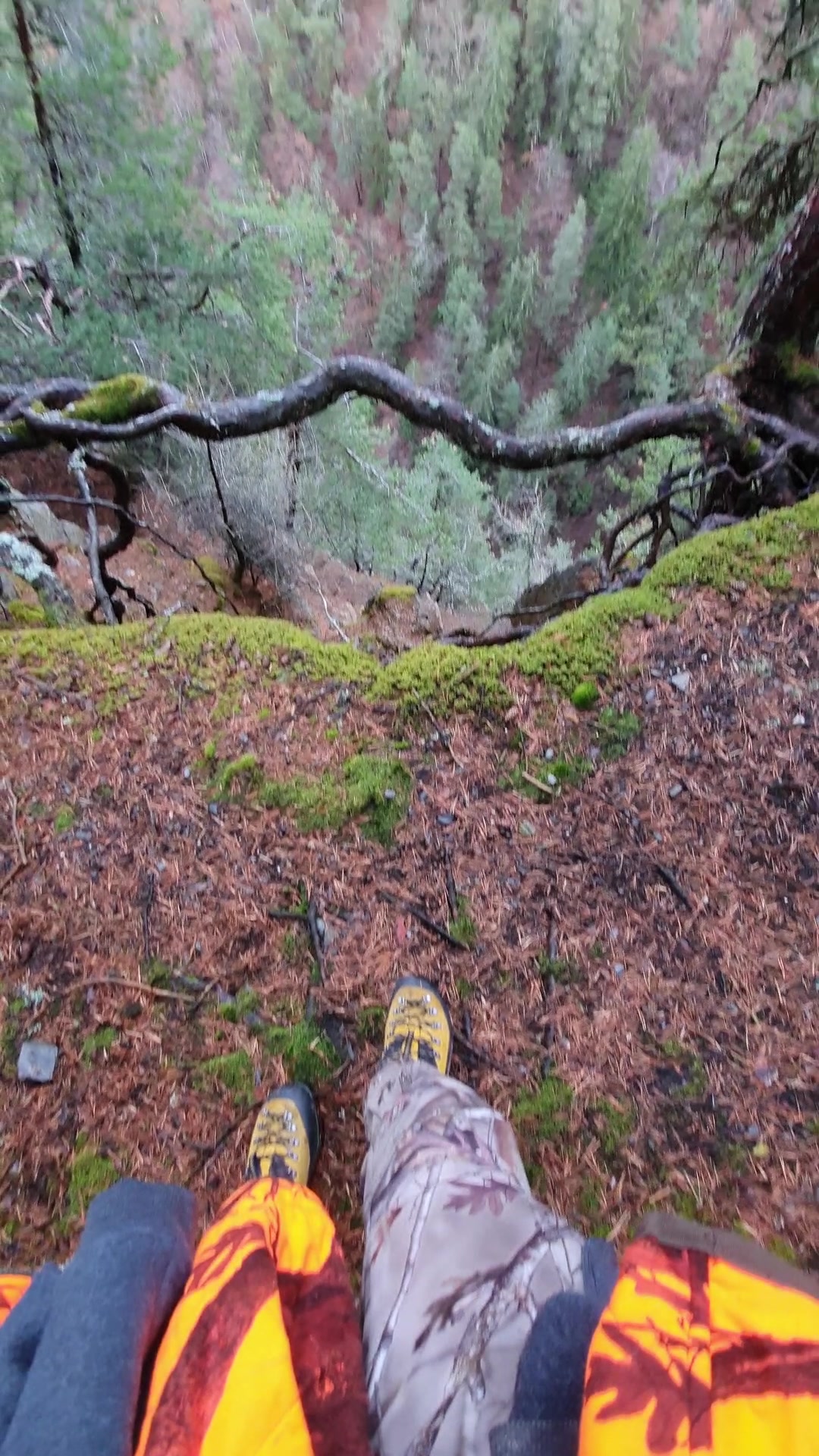 @Chasseur Montagnard