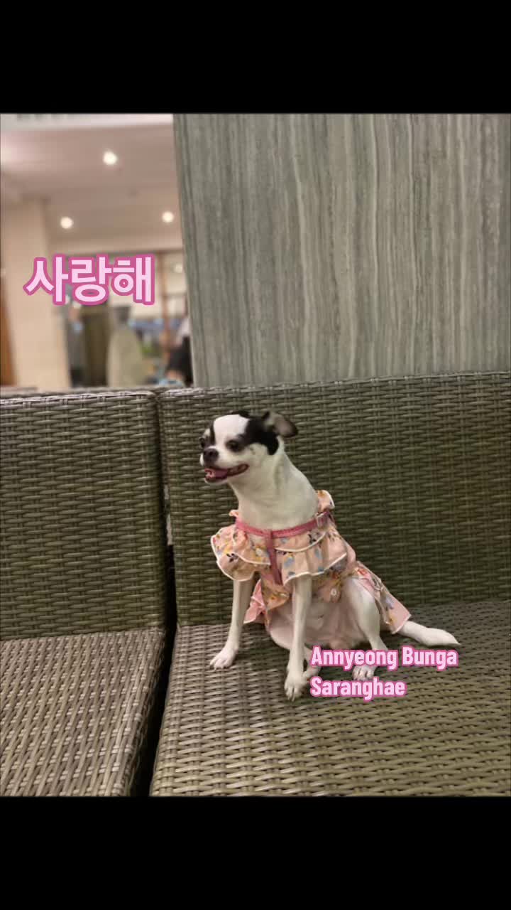 @Kim Bunga 김꽃 & Me