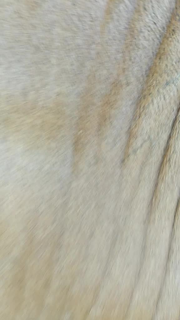 @govidbhai65