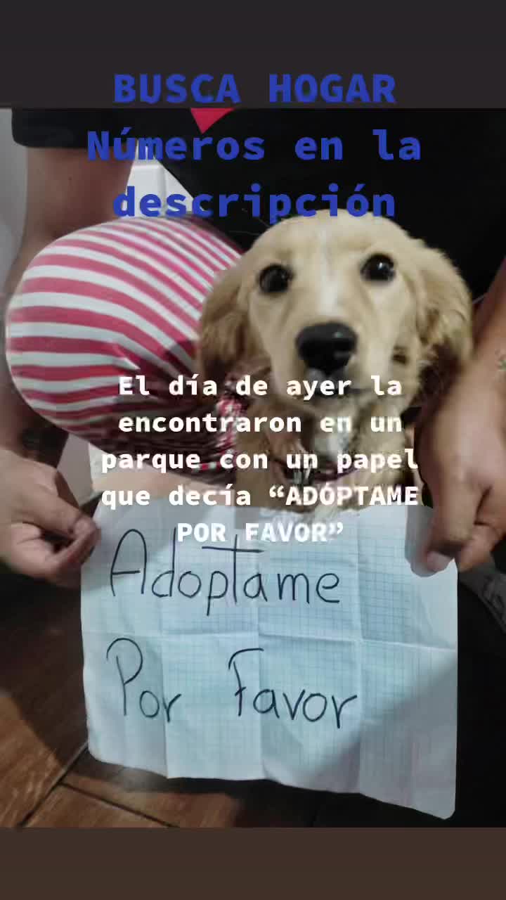 @ximenaplay_