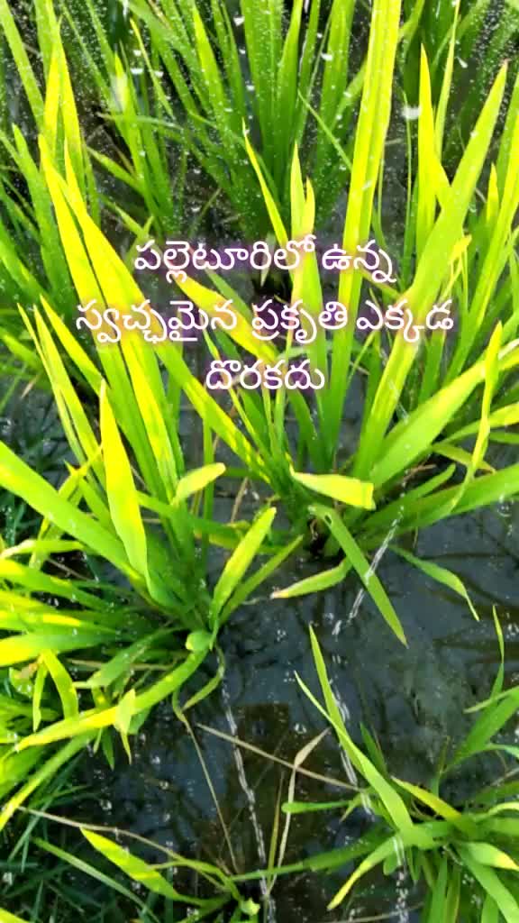@Luckky@Mudiraj