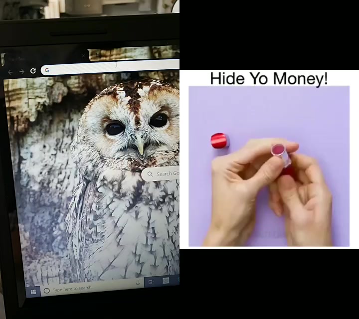 @skittylol