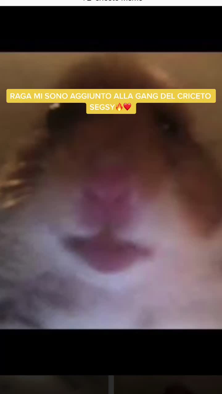@tiziogrigio26