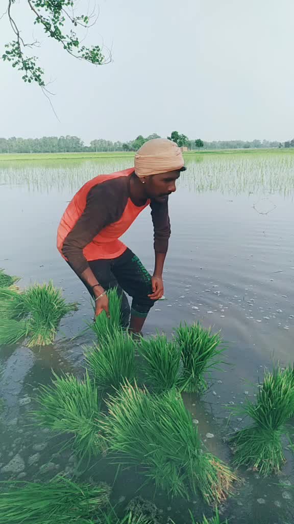 @ਸੱਤਾ ਧਮੋਟ