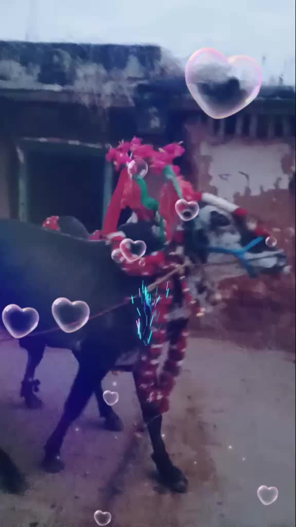 @rowdy_baby_aishu
