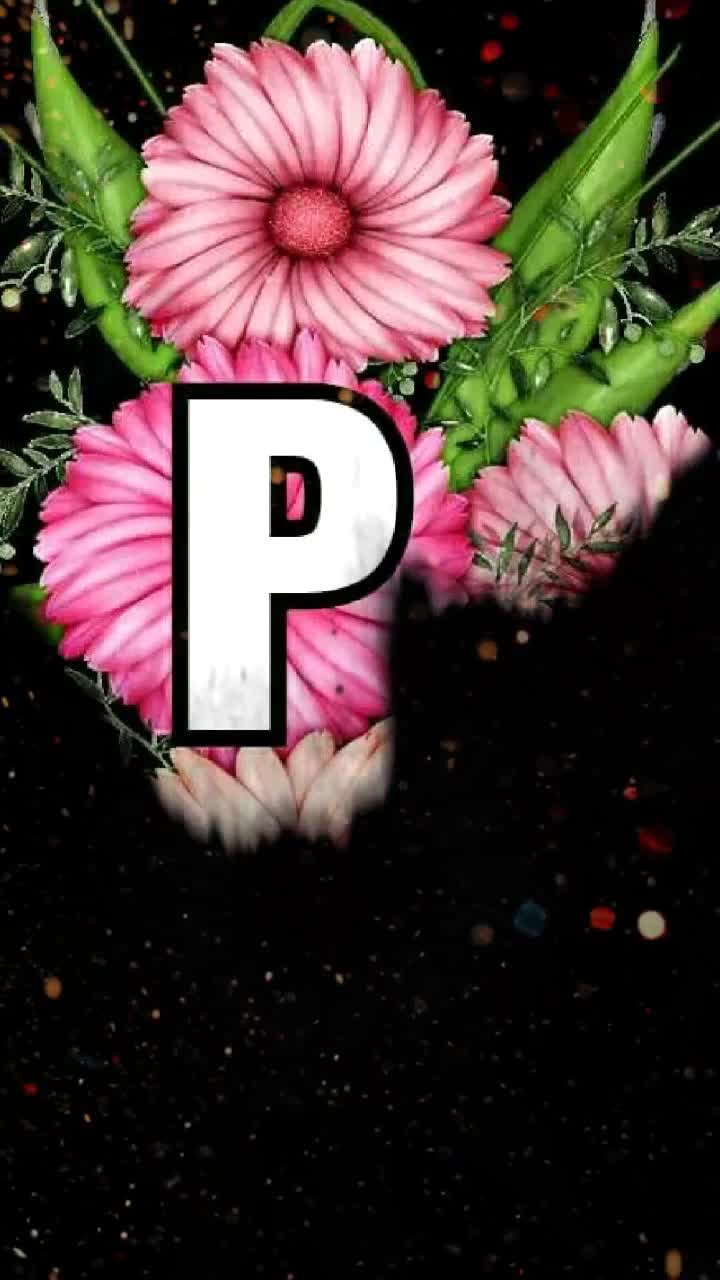 @user341010