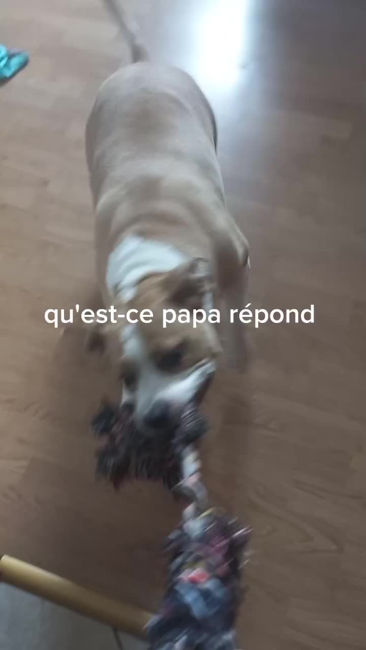 @Orsu