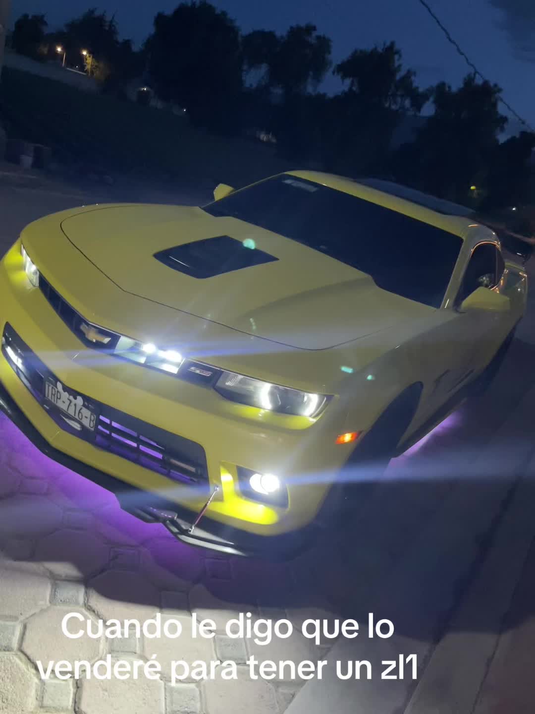 @Alexis CAMARO SS BUMBLEBEE