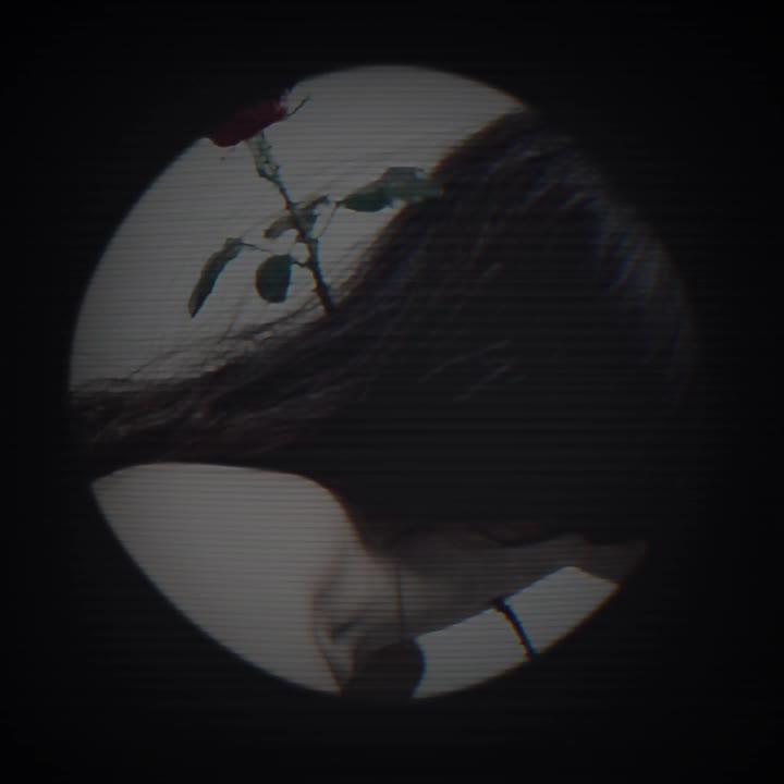 @Maya