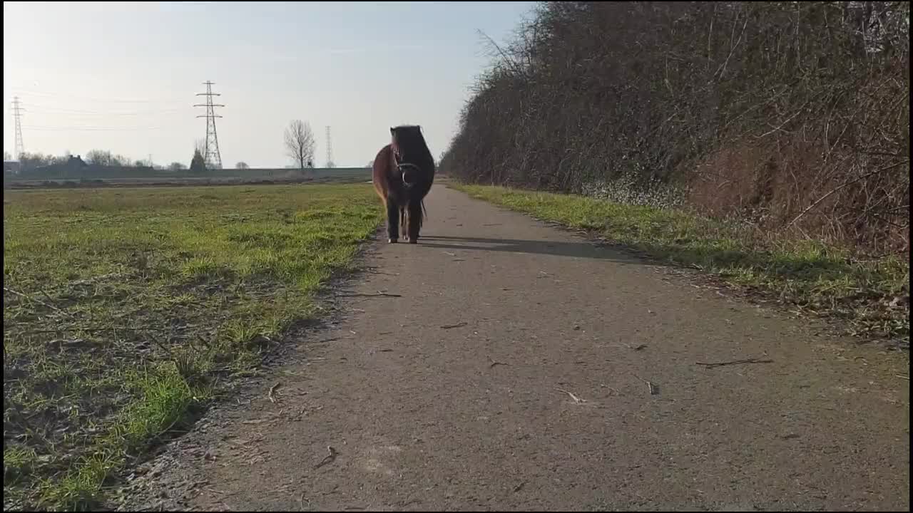 @eventingridersx