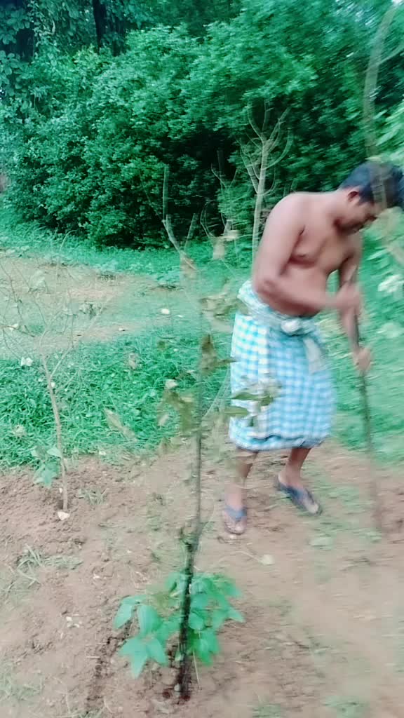 @Rajib Sahoo