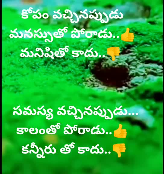 @vizagboy Sunny