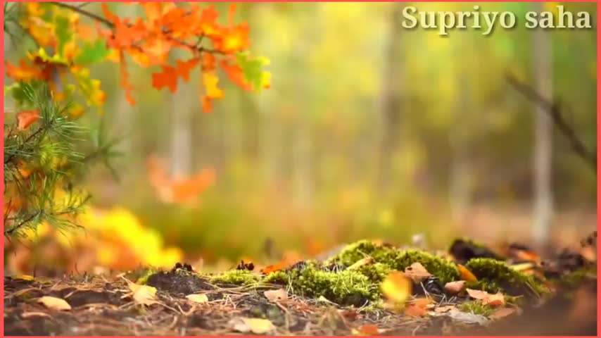 @Sunil Mahato 720