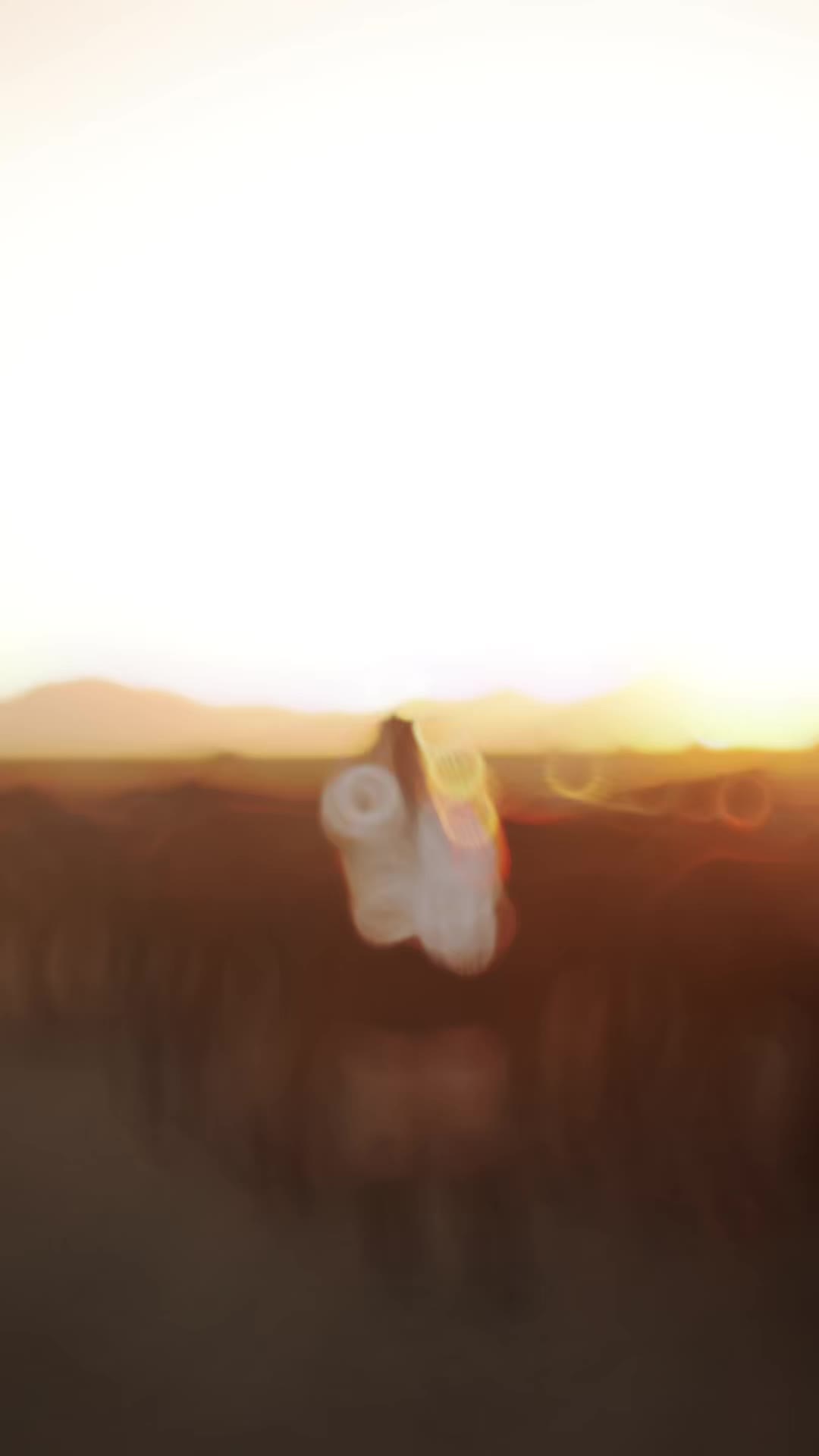 @𝓑üş𝓻𝓪