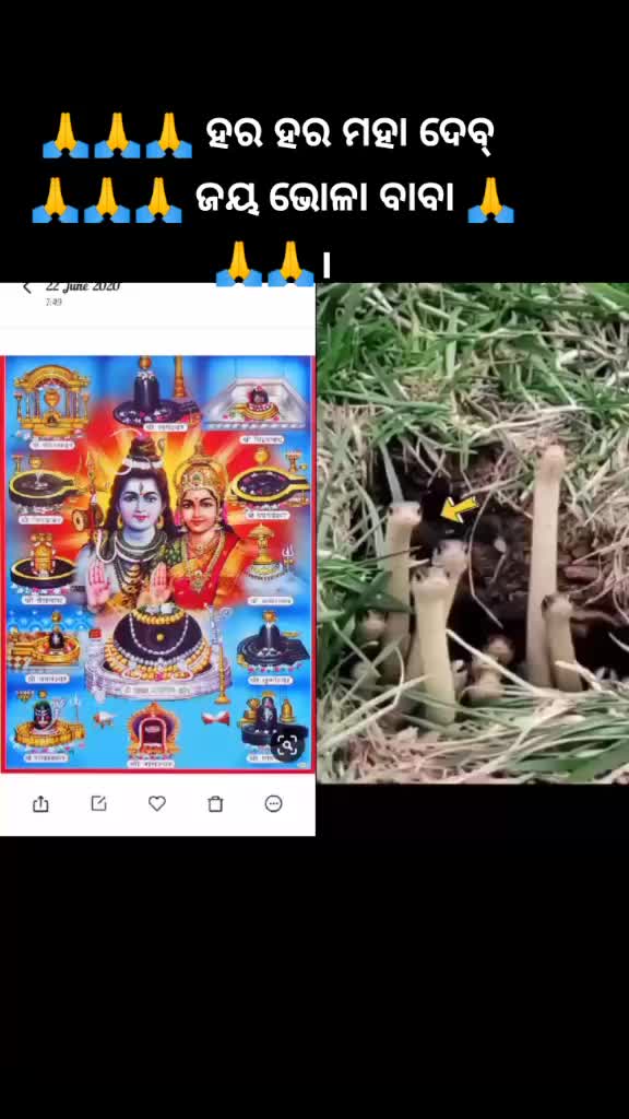 @Sanjay kumar das