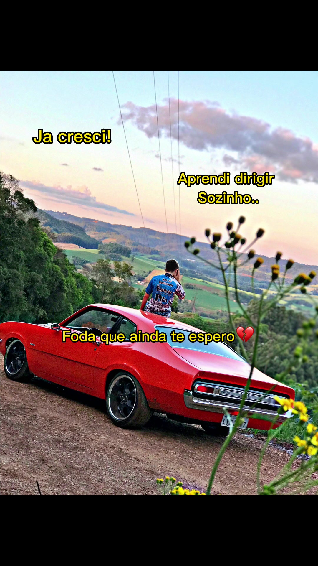 @Catani049