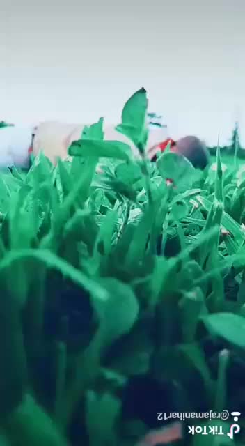 @𝙍𝙖𝙟𝙖 𝙠𝙝𝙖𝙣 𝘼