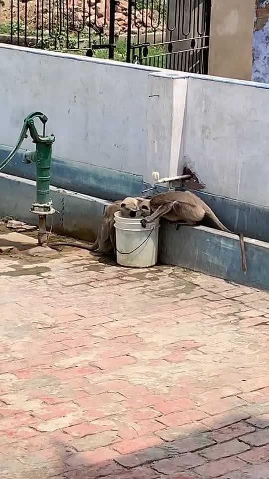 @Gulshan Gupta