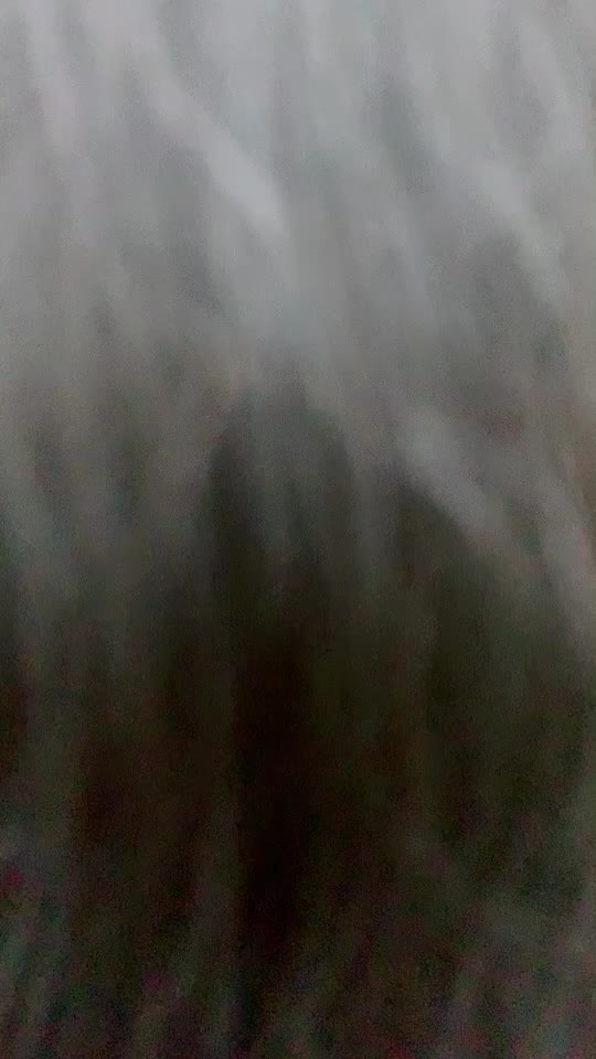 @anju_lamba13