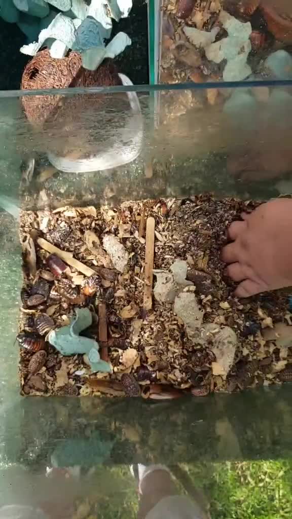 @Eubiologodiego