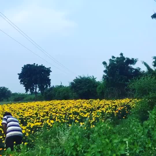 @Varun Peter Jaladi