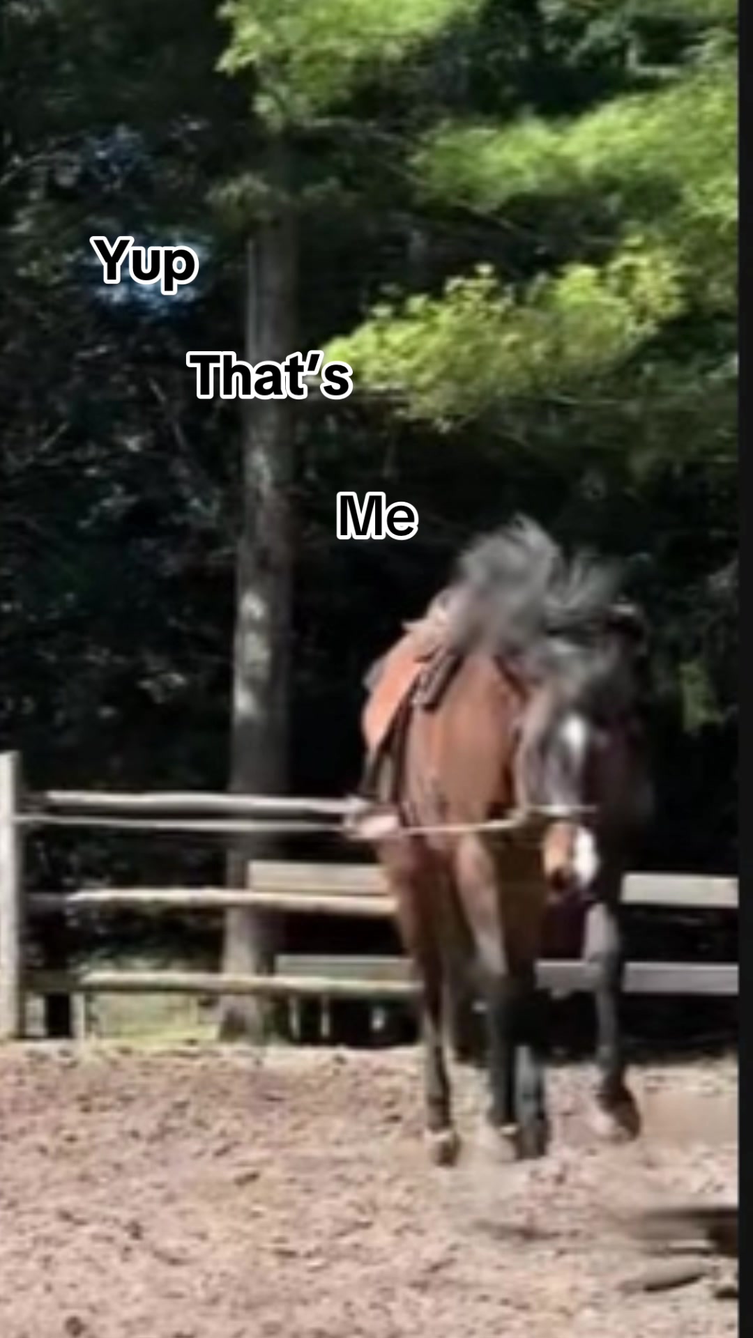 @Brad | Rusty Jade Ranch