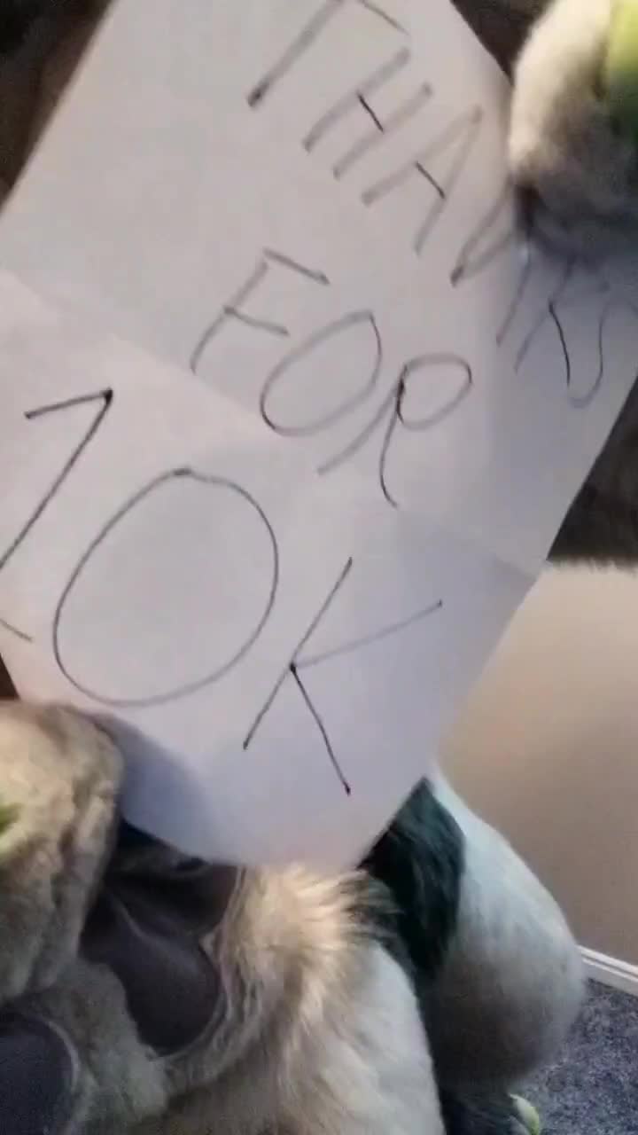 @Arlo