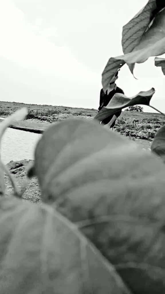 @Tohit Mansuri