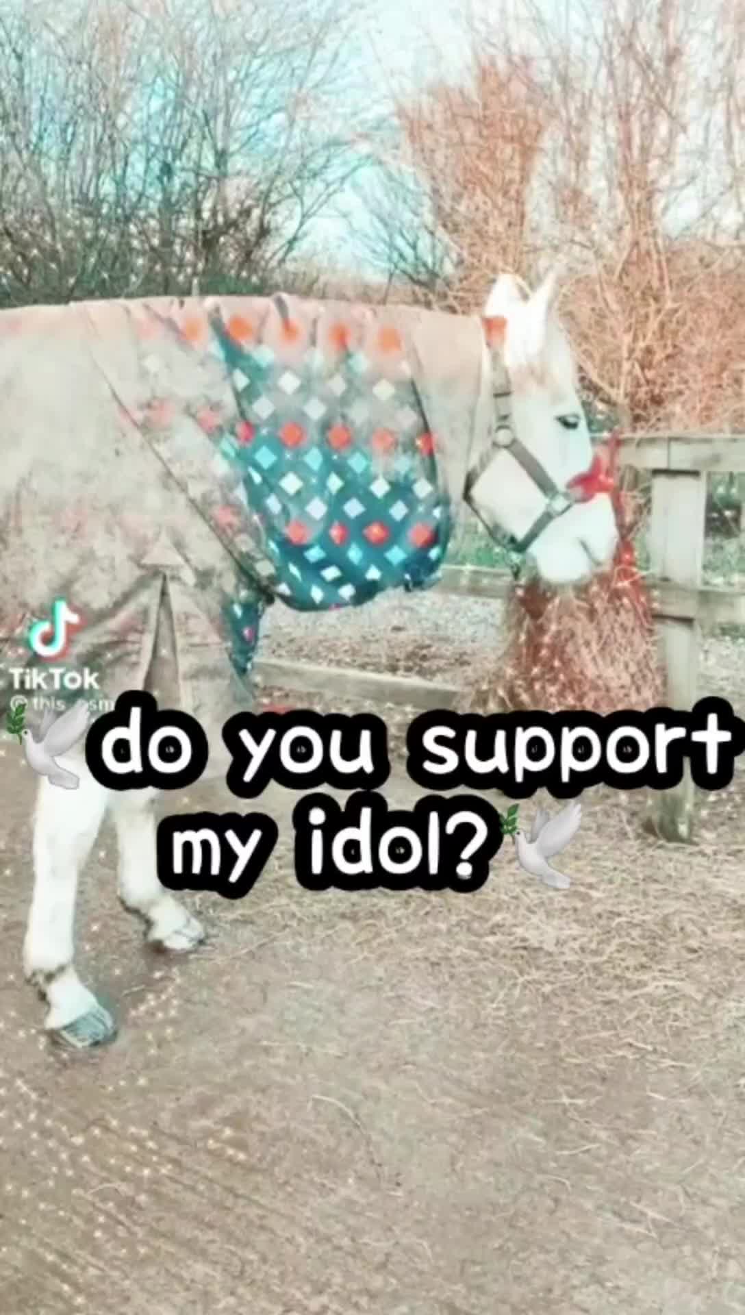 @𝐧𝐨𝐭𝐢𝐜𝐞𝐝 0𝐱