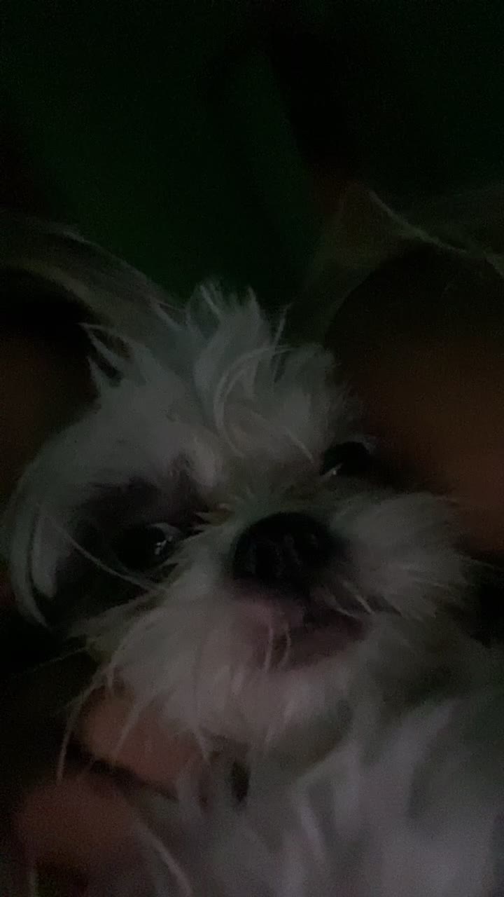 @luane guiné