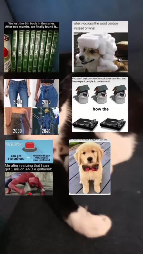 @Memepack1
