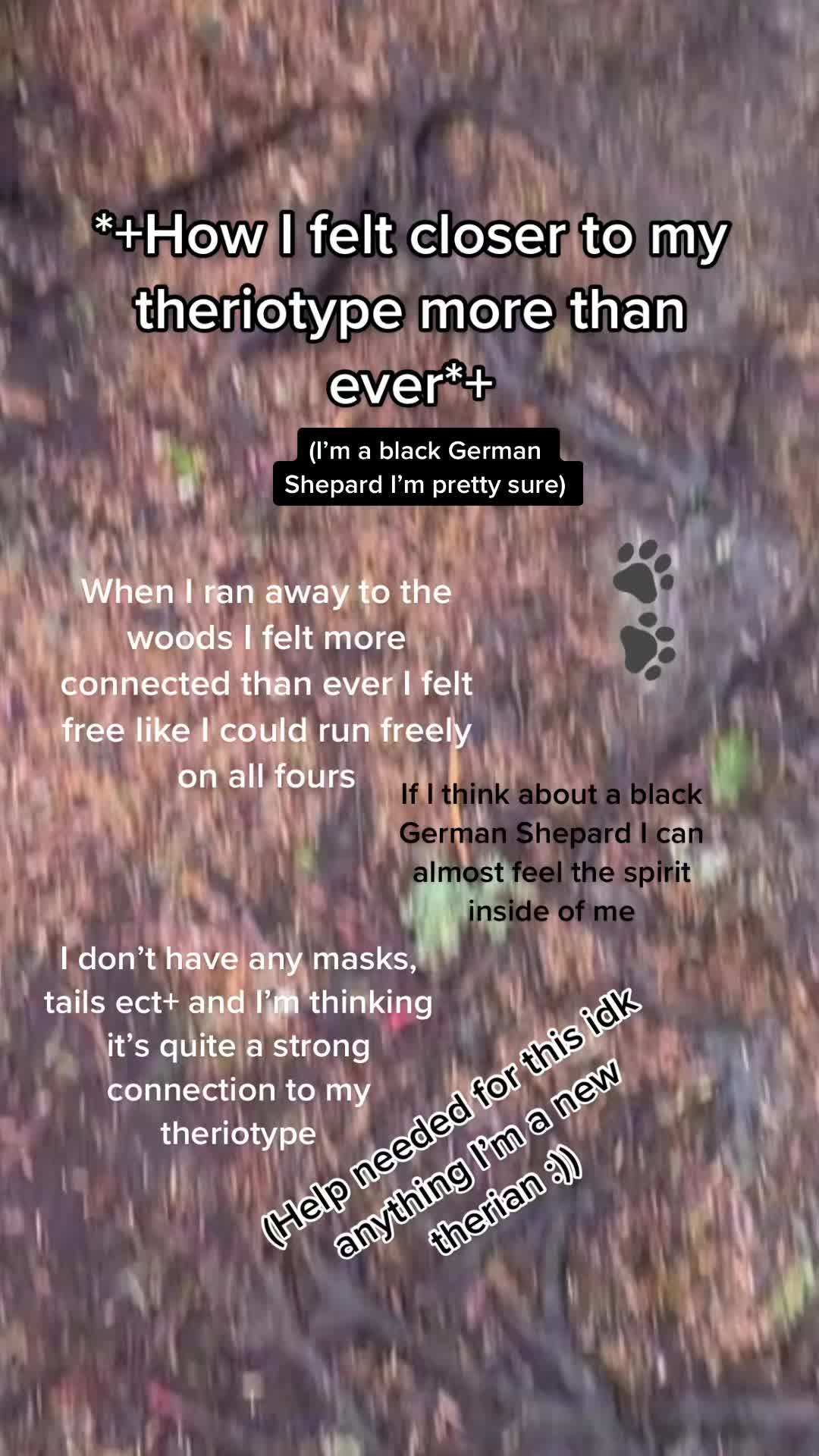 @｡･:*˚:✧｡𝗞𝗜𝗔𝗥𝗘𝗬𝗔