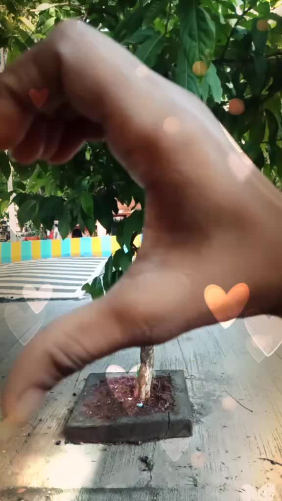 @sharu0710