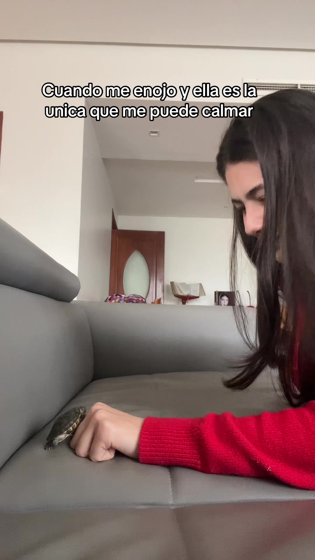 @Angelina Conte