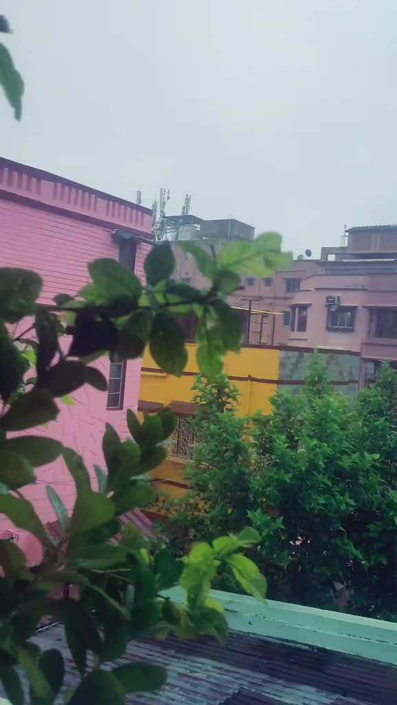 @Priyanka Kanjilal