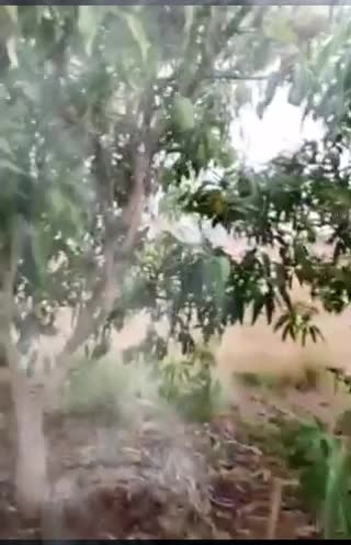 @MITUL_ DAVERA