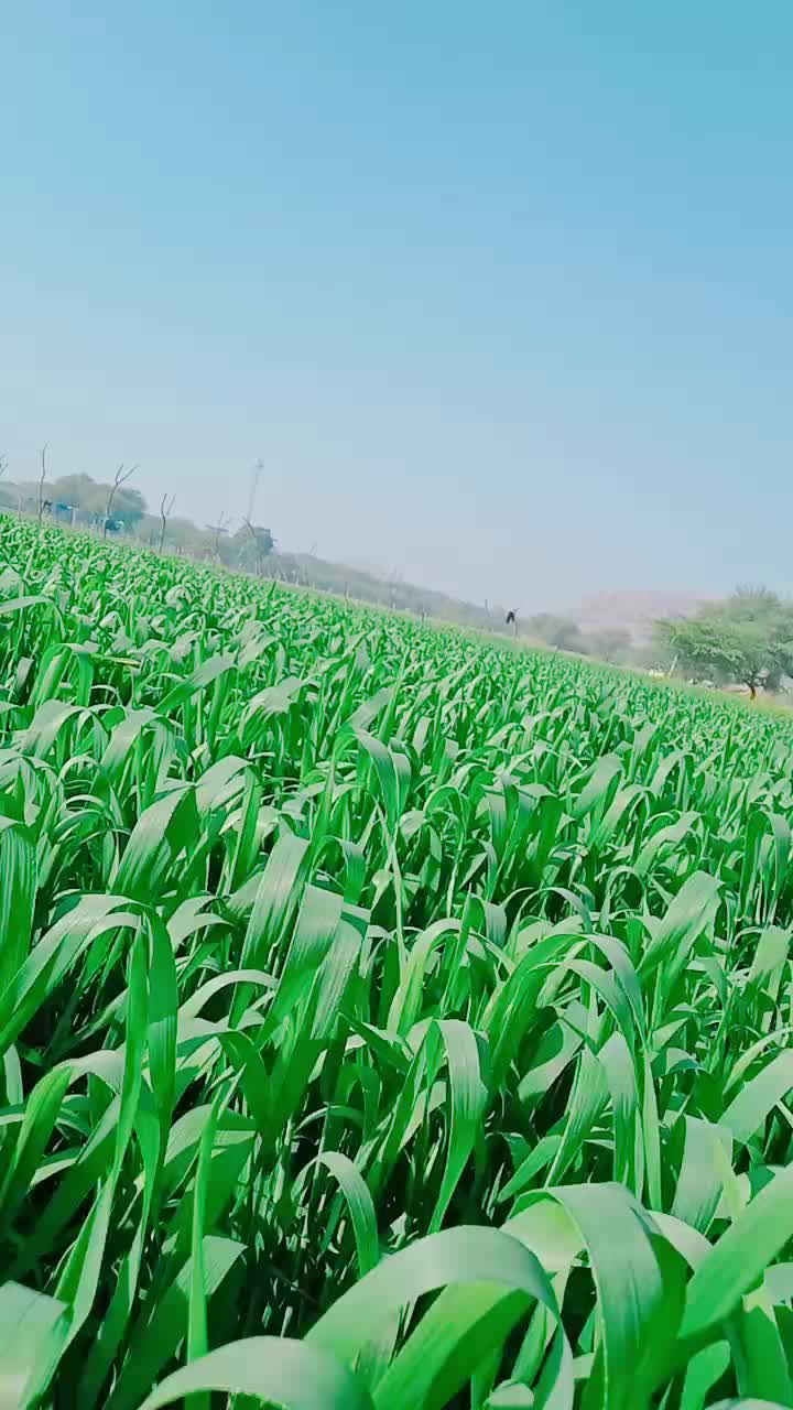 @user3869278680936