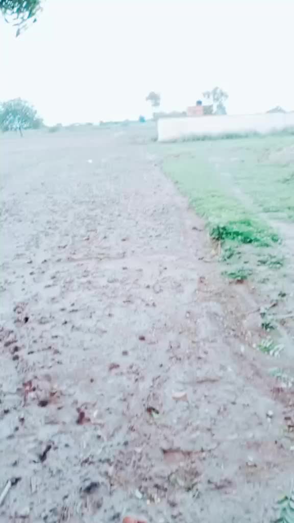 @tik Tok