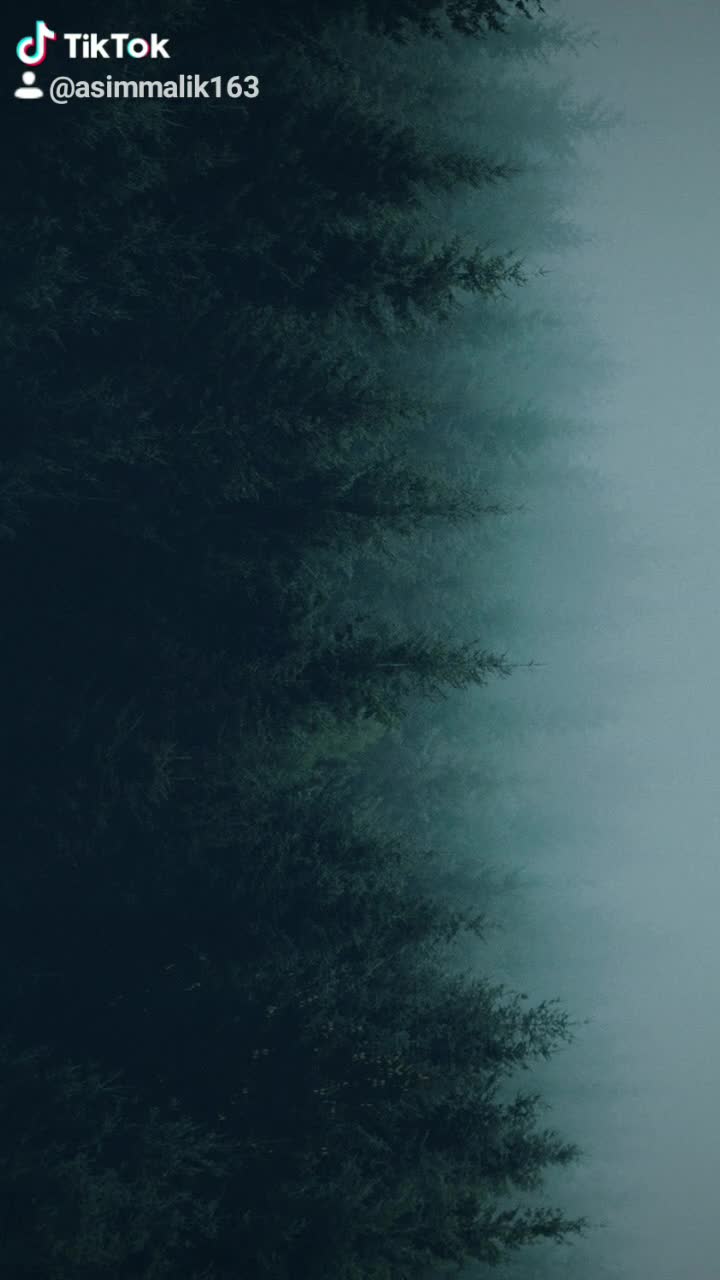 @Asim Malik