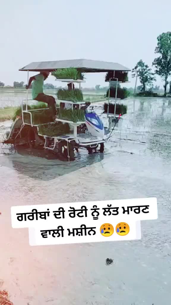 @Gurii Gill