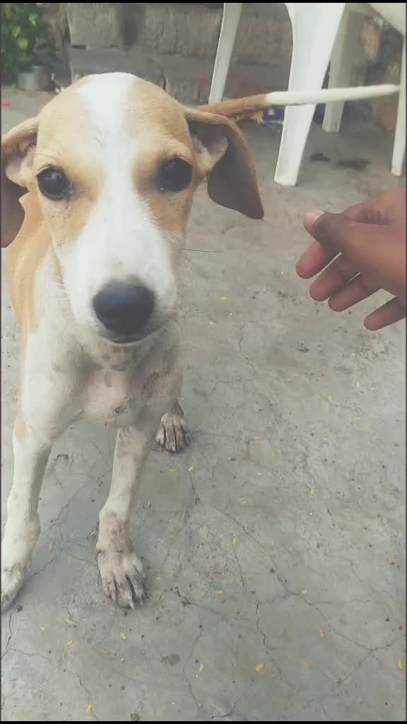 @kalupinujadu025