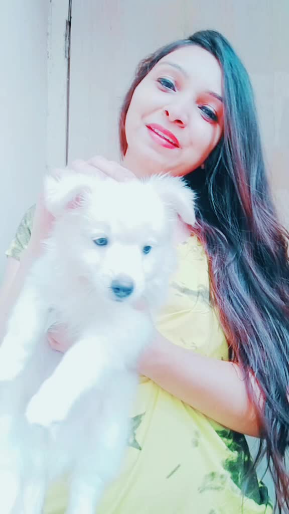 @Krutika Thakkar
