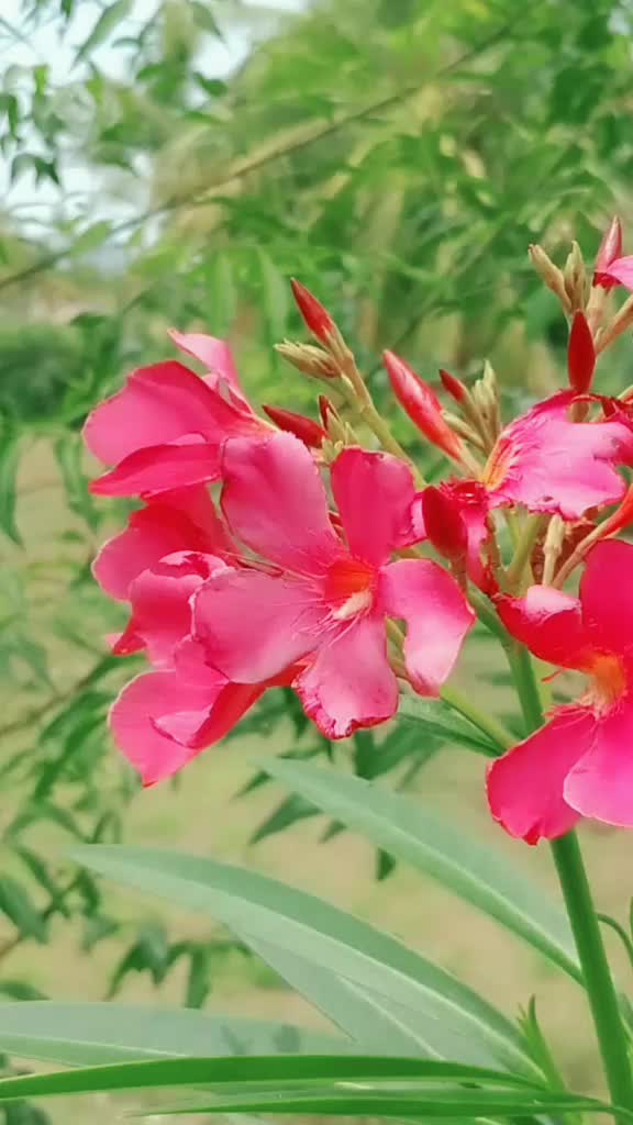 @விவசாயி 💯/💯