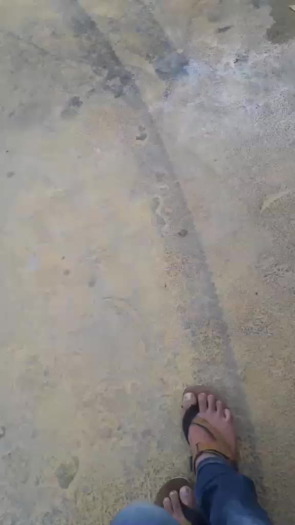 @danush