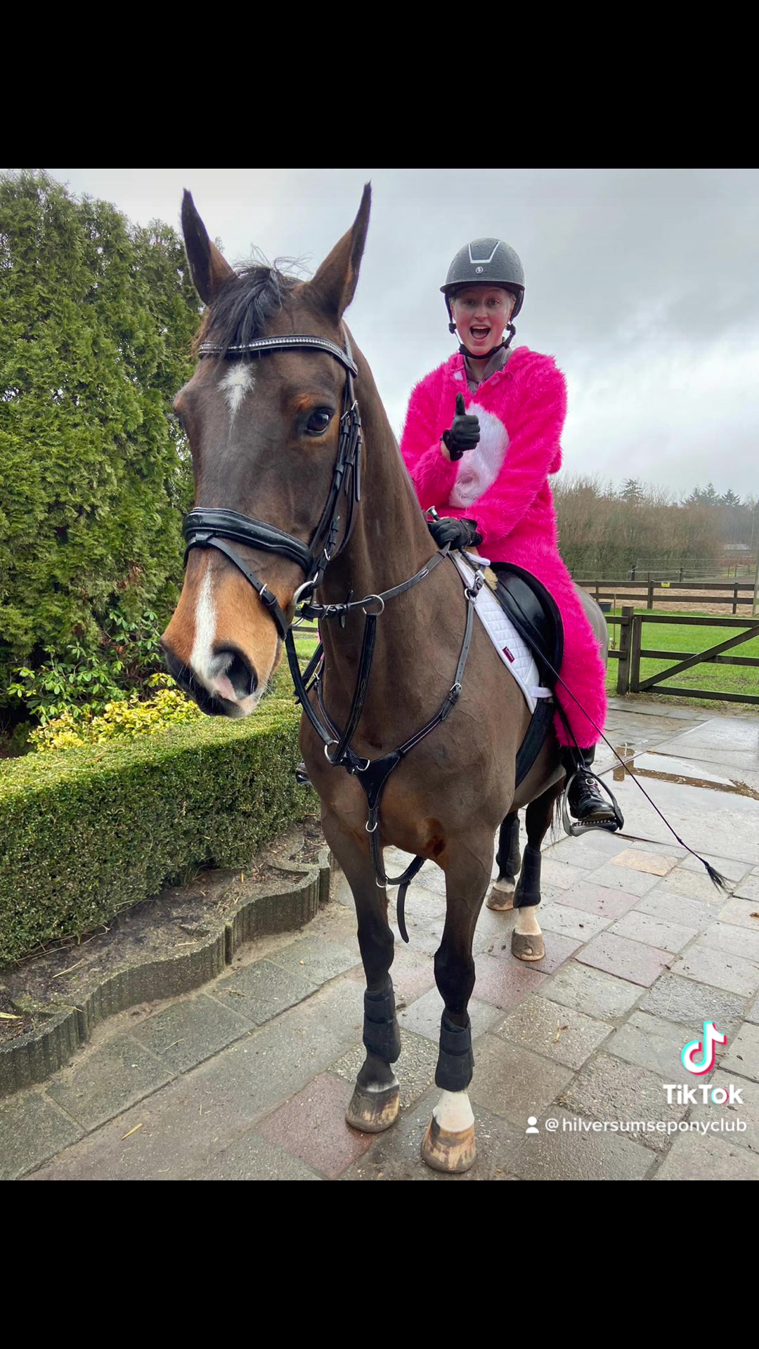 @De Hilversumse ponyclub