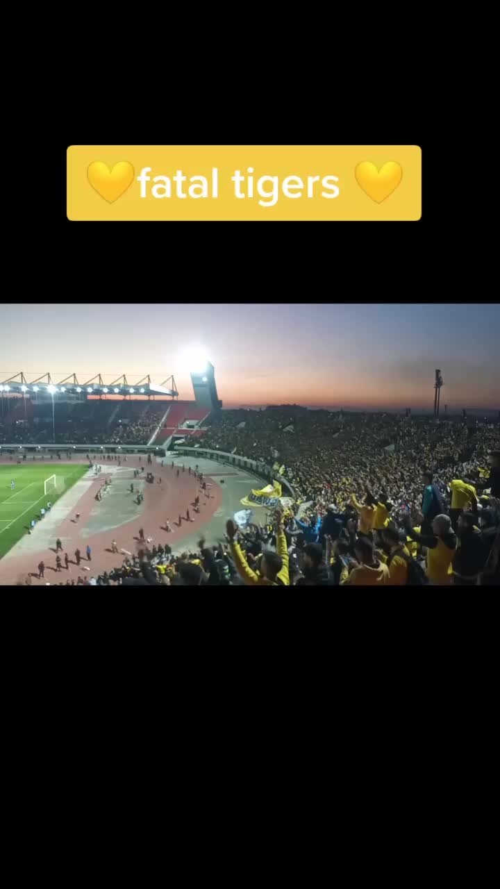 @Rida elm