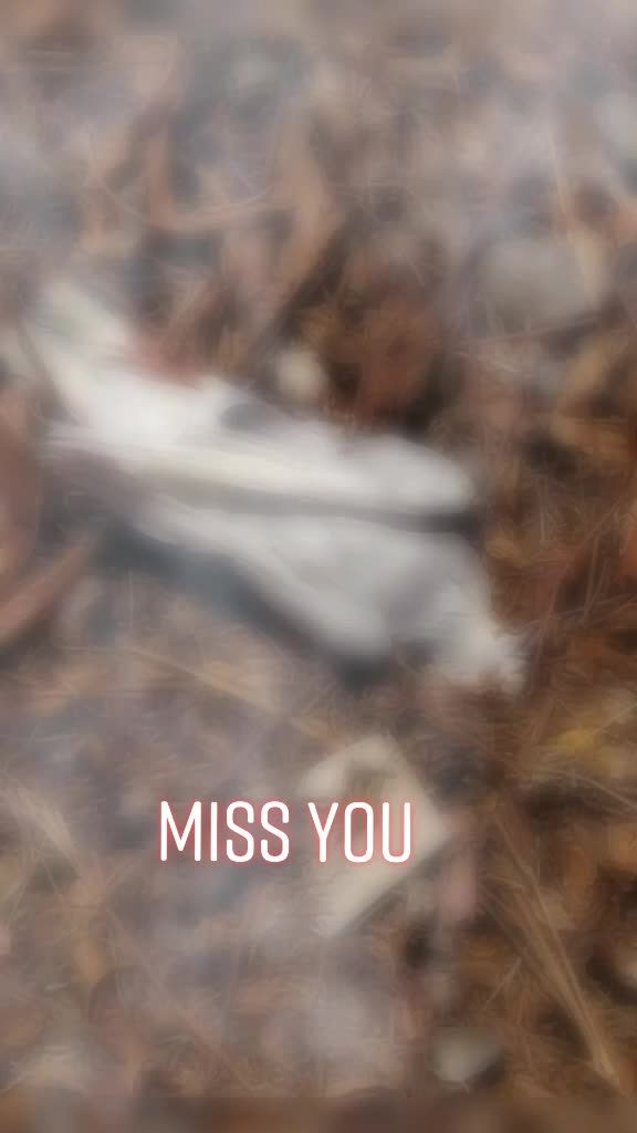 @mahipal sinh 302